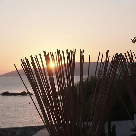 Pyrthea Houses Koufonisia Buitenkant foto