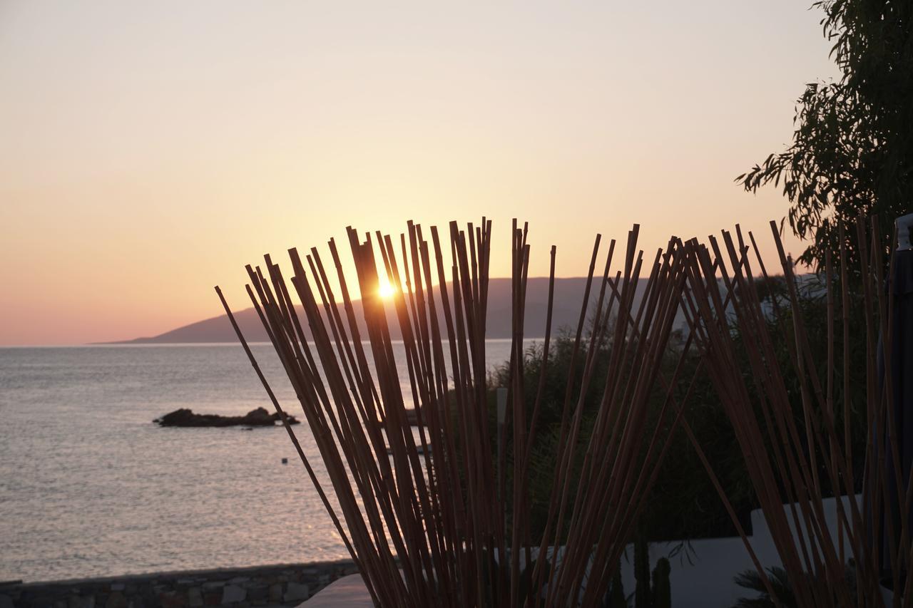 Pyrthea * Koufonisia